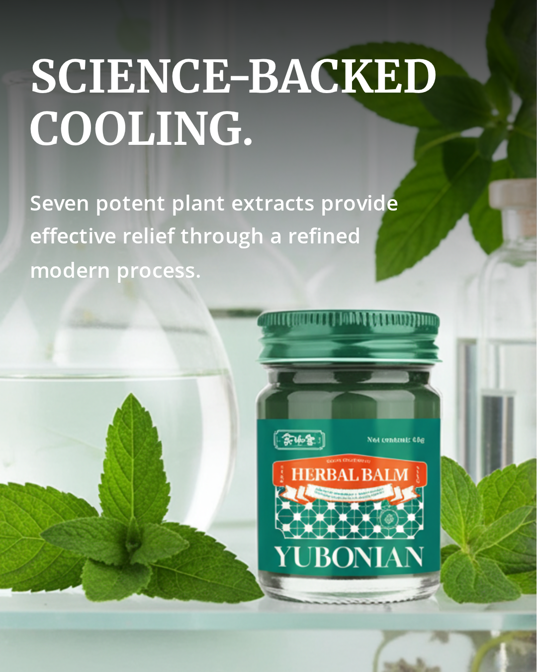 yu bonian herbal cooling balm 45g yu bonian herbal cooling balm 45g